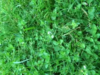 IMG_1338.webp
