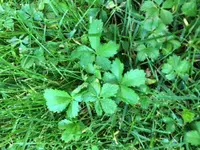 IMG_1483.webp