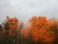 DSCN9670.webp