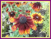 086.webp