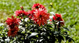 IMG_7476.webp