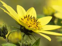 026.webp