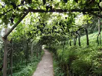 DSCF0710.webp