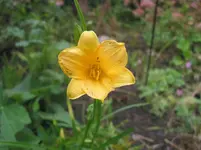 herbst 018.webp