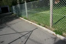 IMG_5283 (Large).webp IMG_5283 (Large).webp