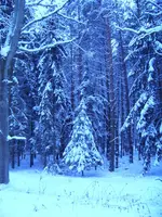 neu 008.webp