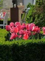 image.webp