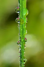 DSC_0321.webp