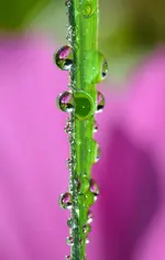 DSC_0322.webp