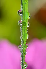 DSC_0326.webp