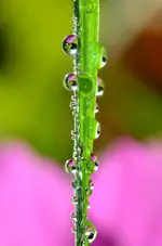 6Kreatives in der Natur.webp