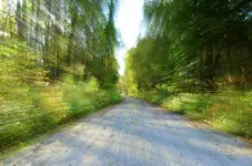 7Völlig verdreht.webp