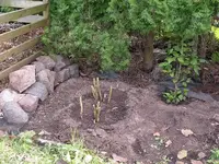 IMGP7034.webp