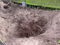 IMGP7033.webp