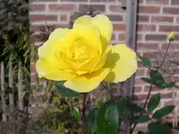 IMGP7031.webp