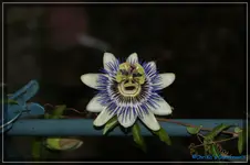 comp_DSC02373.webp