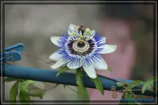 comp_DSC02376.webp