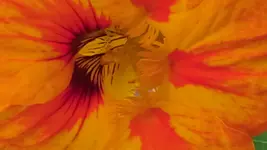 20141001_144325.webp