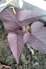 20141002_160901-1.webp