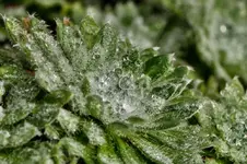 Stg 14-10-12-3749.webp