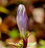 Stg 14-10-12-3753.webp