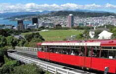 Transport Wellington 480 btTransportv.webp
