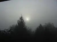 BILD3517.webp