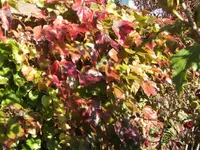 BILD3539.webp