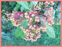 016.webp