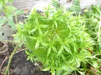 P1220030.webp