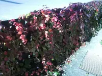 BILD3540.webp