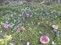 BILD3524.webp