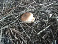 BILD3528.webp