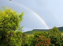 Regenbogen.webp
