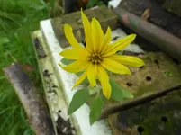 P1220034.webp