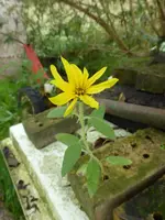 P1220035.webp
