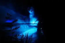 blau_2_DSC03664.webp