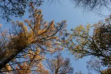 herbst_1_DSC01092.webp