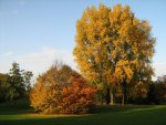 herbst_2_IMG_5071.JPG