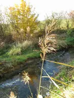 herbst_3_IMG_5143.webp