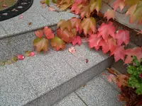 20141013_114127.webp