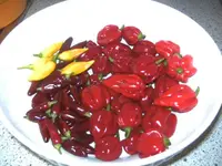 BILD3509.webp