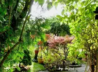 P1000837.webp