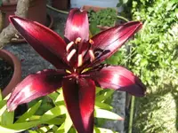 BILD2988.webp