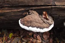 DSCF8408.webp