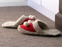 Weihnachtslatschenv.webp