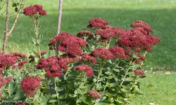 IMG_7791.webp