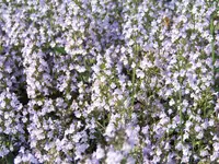 6.10.12 002.webp