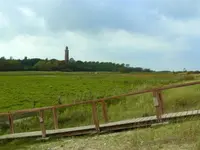 008.webp