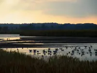 032.webp